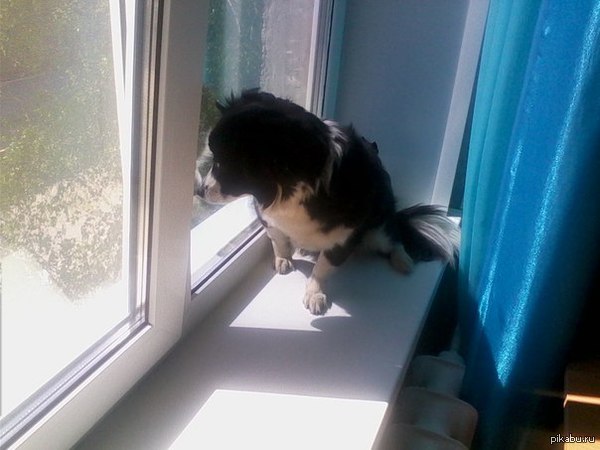 ���-������, ������� ��, ��� ��� �� ����� :)