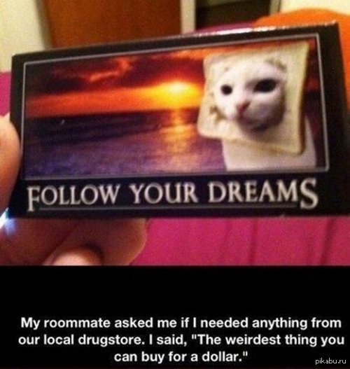 ��� �� ����� ������