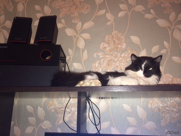 ������������ �������: �������, ���, ����������