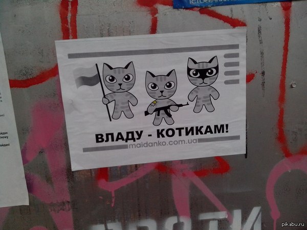  -  :D       !  - !