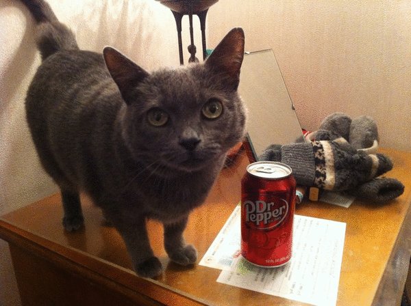   Dr. Pepper 