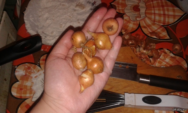 Буквальность