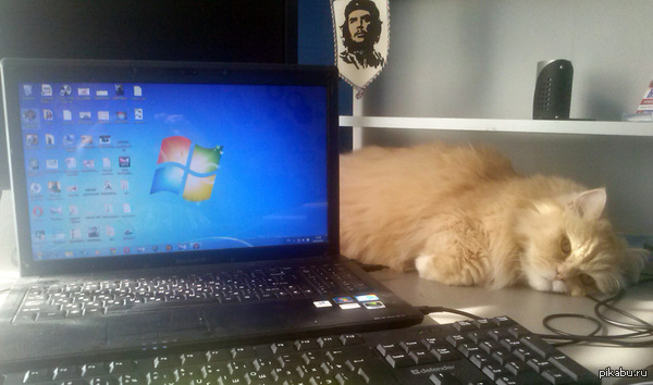 В ожидании обеда