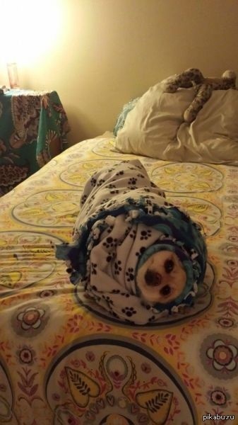 ������� ����� � ���������.