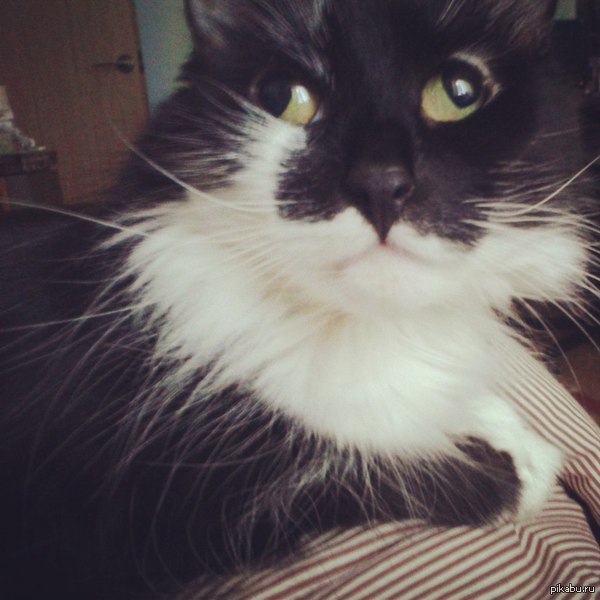 ���� ������ �� ��������! :)