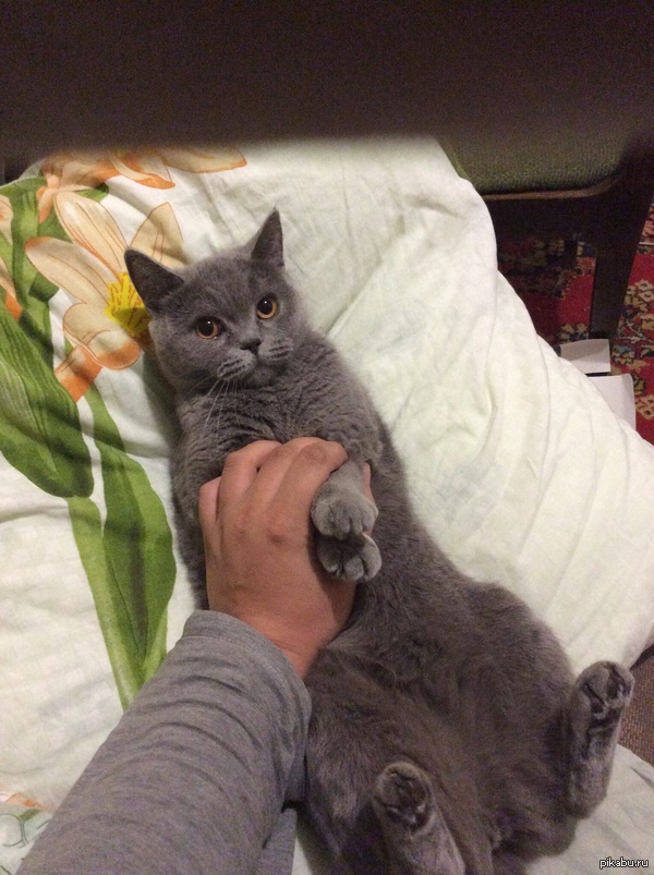 "�� �� � �����, ���� � ���� ������ ��� ������� �����"