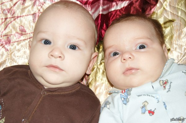 Еб*ть ты взрослый