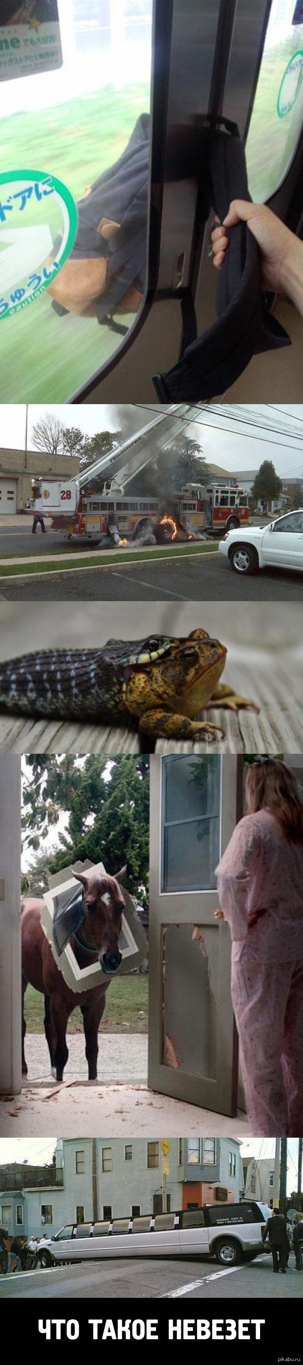  (   )