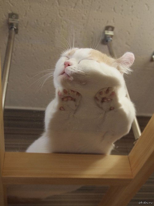 ������