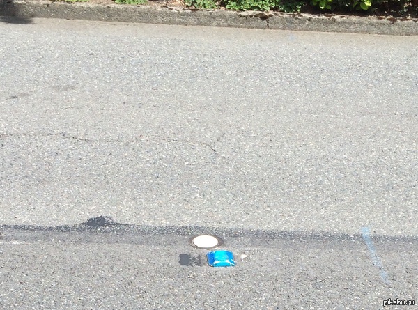 Загадка! (нормальная, а не про веревки и дома)