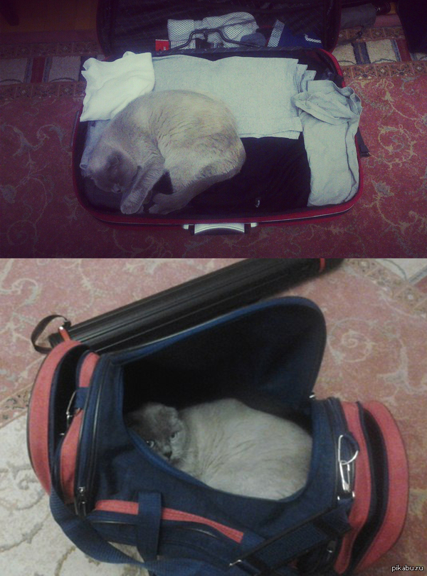 ������ � ����)