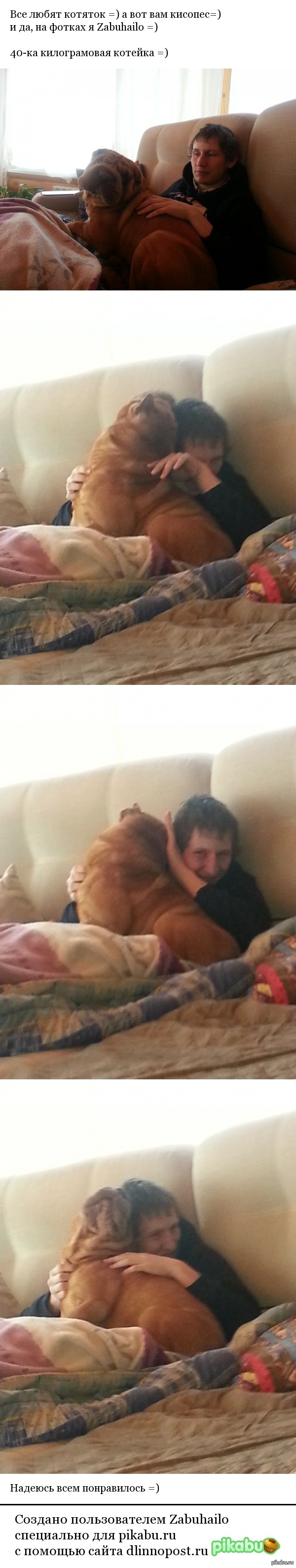 Котяйки говорите?