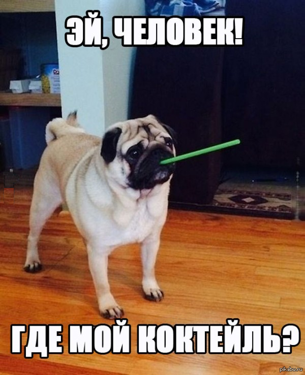 эй, человек!