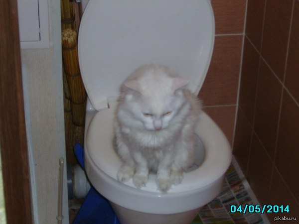 ��� ��������� ����� ����� ����!