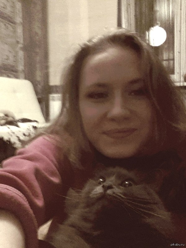 Выражение морды кота доставляет) | Пикабу