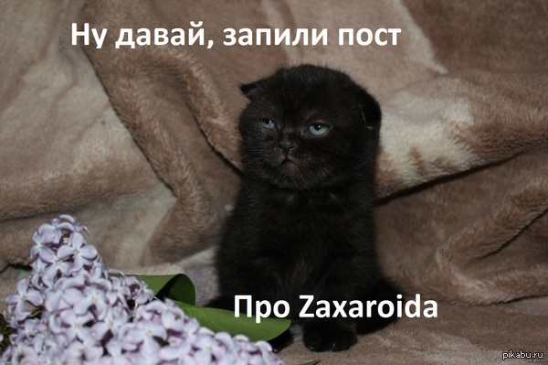 �� �����, �������� ��� ��� ��� ������� �������