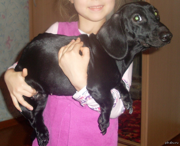 ������ ���������