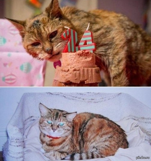    24(!)  