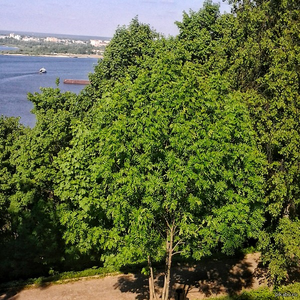 ��������� ������