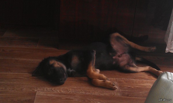 ��� ���� ����� ����� ���� ��� ������ ������...