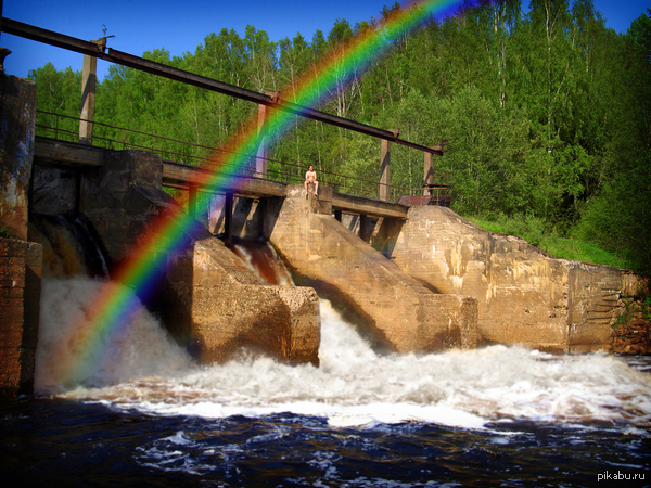 �����, ������� �������, ���� ������