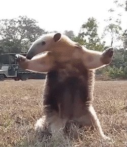 !  ! 