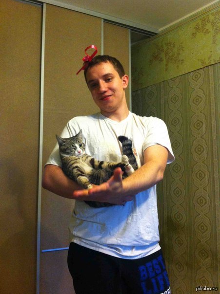 ������ �