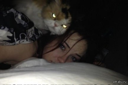 ������ ������. ��� ���� �� ��������.