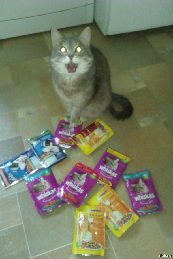 ��� �� ���????