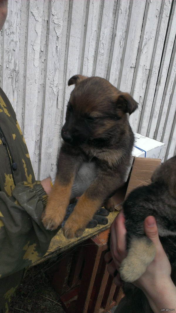 ����� � ������� ����