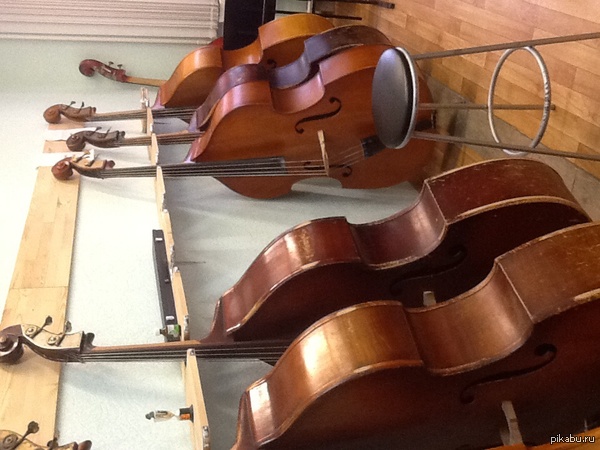 Все добавляют своих любимцев, я добавлю своих