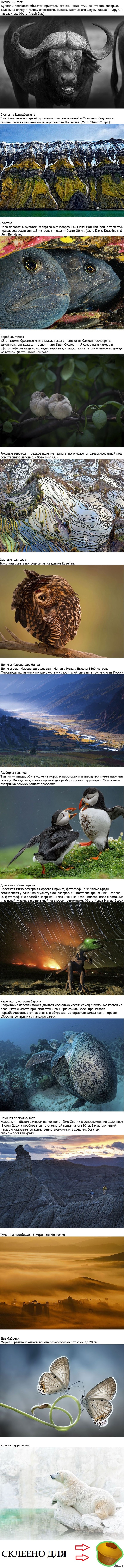 фотографии National Geographic за май