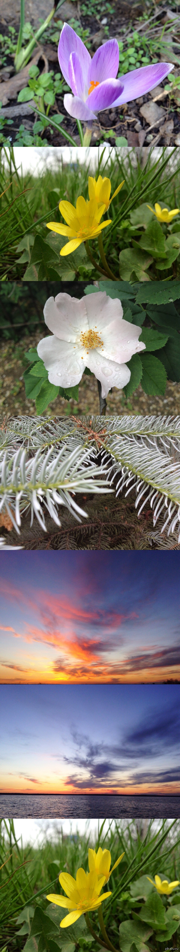 "�����" �������:)