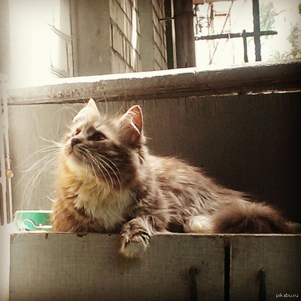 �������-�������