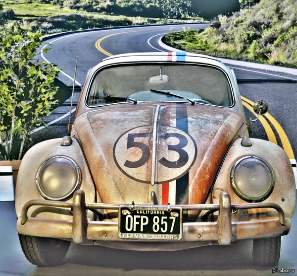 Herbie    ?   .