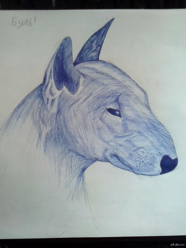 � ���� �������� � ���� ����������?