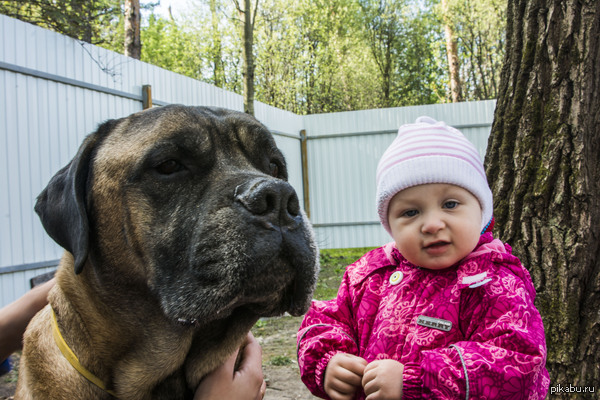 ��� ��� � ����� �����