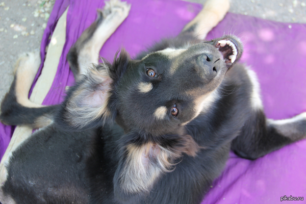   !   , ! .    !  ,      .