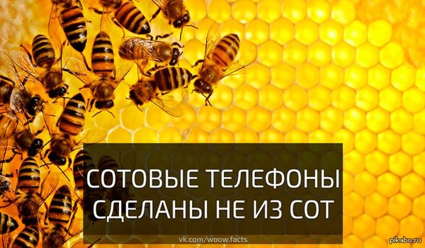 Неожиданный факт!