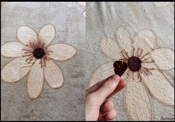 Игра "найди медиатор" объявляется открытой