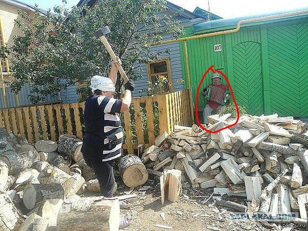 Модератор на пикабу