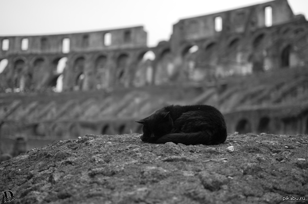 ��������� "��". "��������� �������"