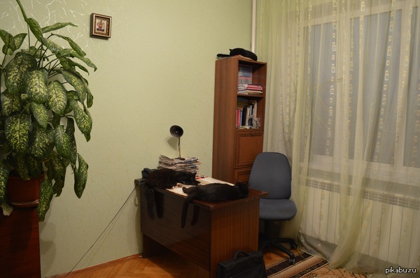 �������� ����� �� ����.