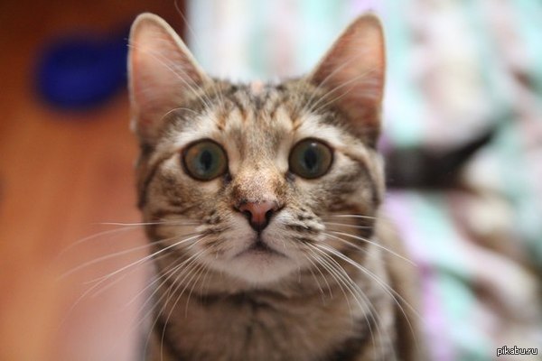 ��� �� �� �� ��, � ���� ���!