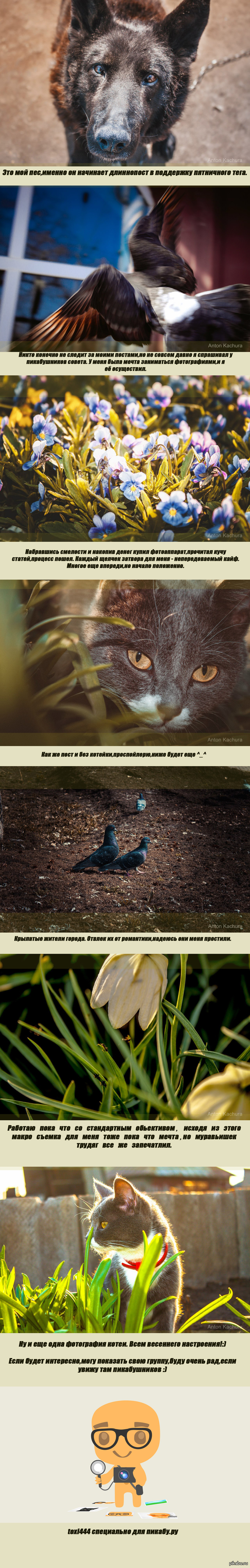 Мечты сбываются. Длиннопост в поддержку пятничного тега "мое".