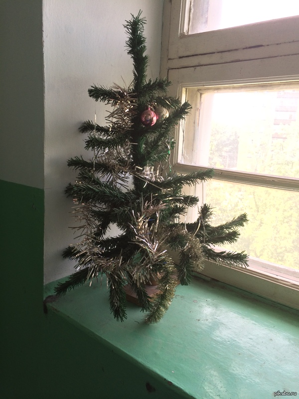 � �������� ����� ����. ����� ���� �� ������)