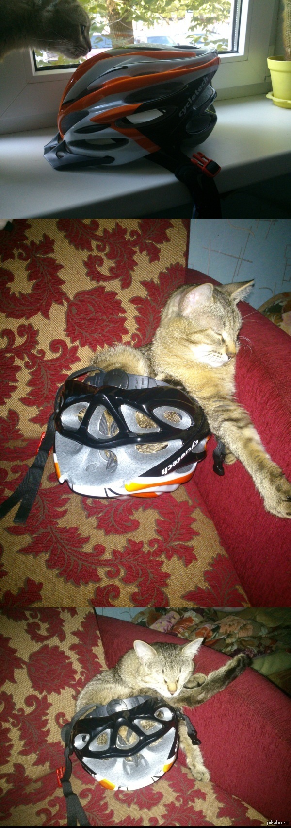 ������ � ���� ��������...