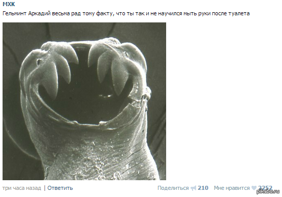 ��� - ������ ���������� ������ �������.