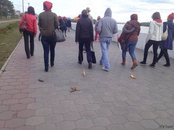 Люди выгуливают бананы с трусами на голове. Обычный день в омске