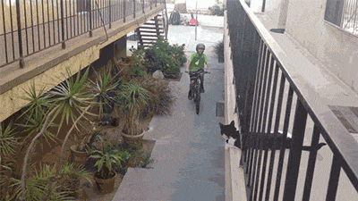 https://cs6.pikabu.ru/post_img/2014/06/01/12/1401651709_1683664981.gif